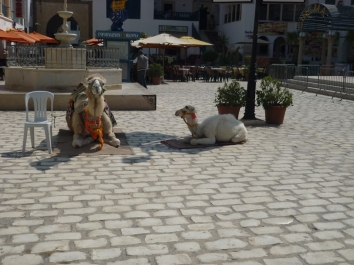 photo 461478