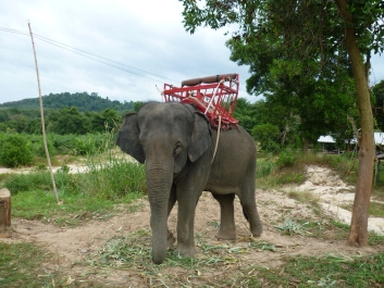 photo 460677