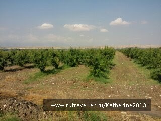 photo 464303