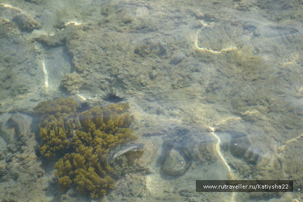 photo 642868