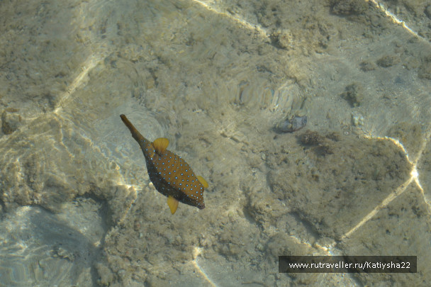 photo 642869
