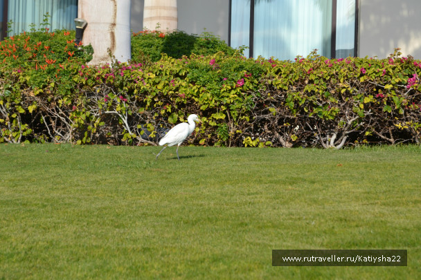 photo 642876