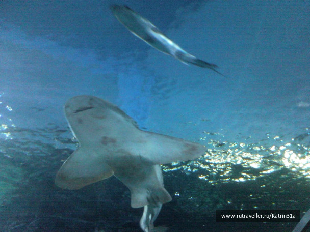 photo 414403