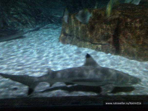 photo 414404