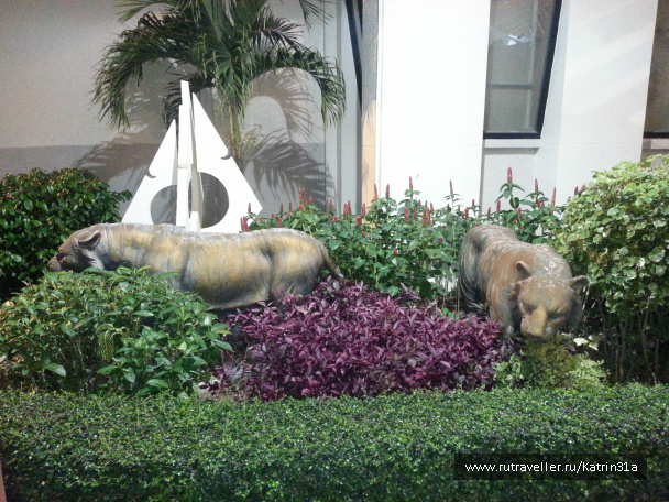 photo 414430