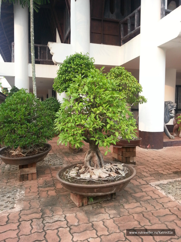 photo 414438