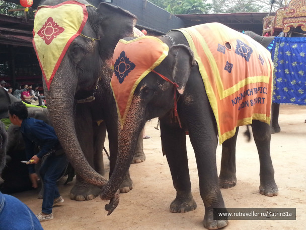 photo 414446