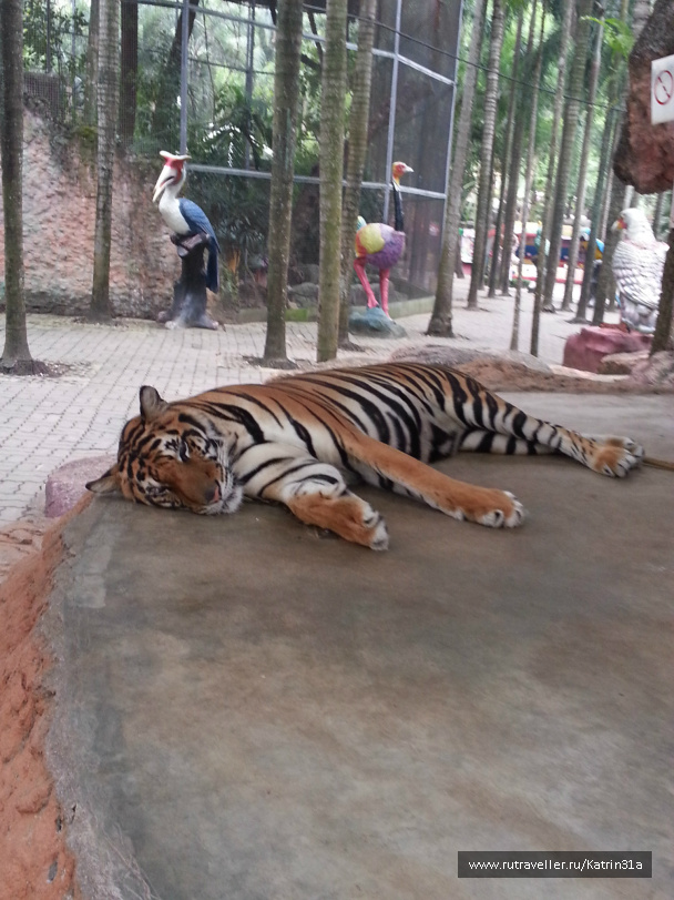 photo 414447