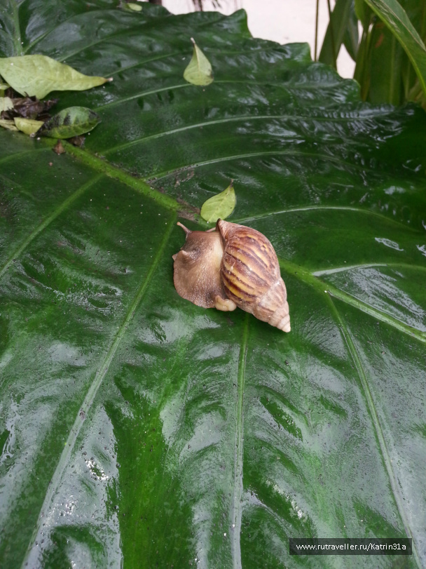 photo 414458