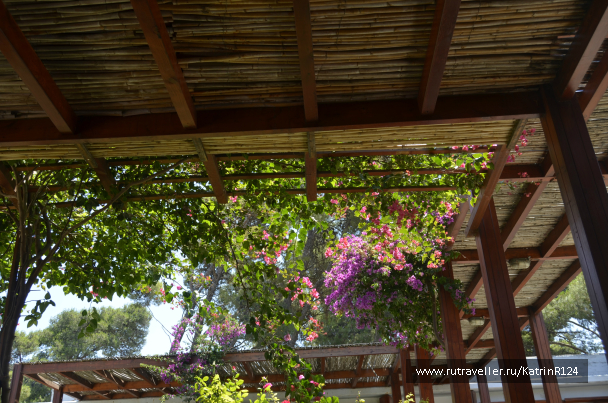 photo 643518