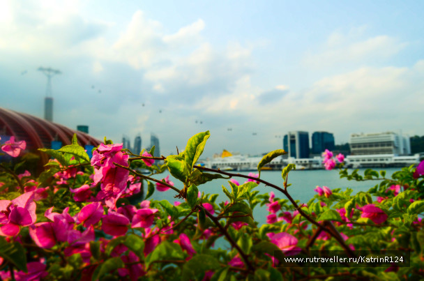 photo 691864