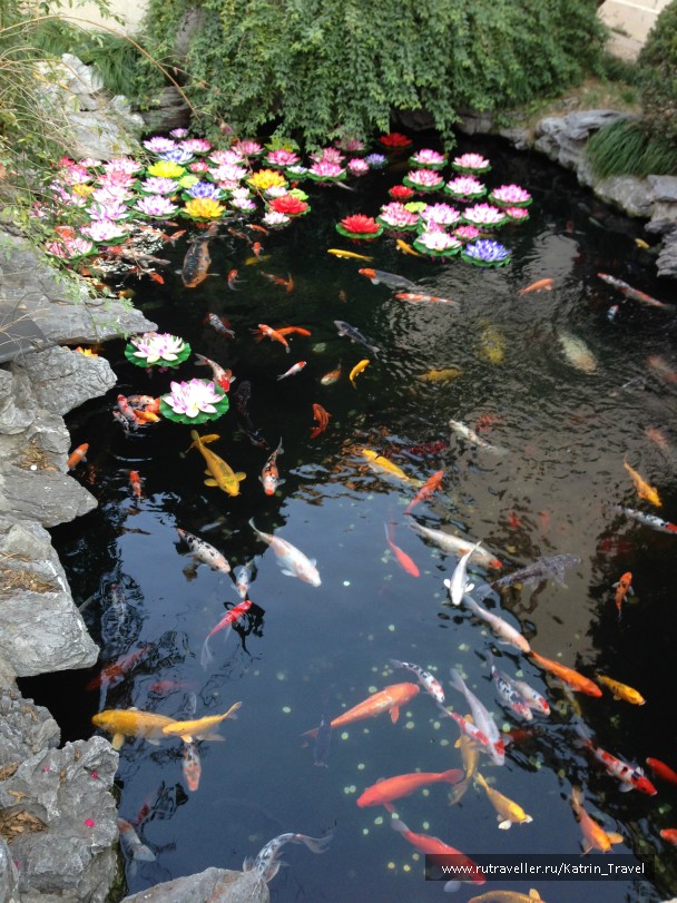 photo 743576