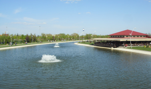 SDC17378