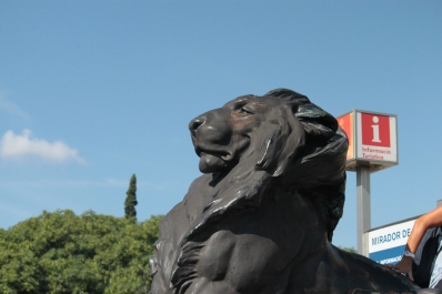photo 856517