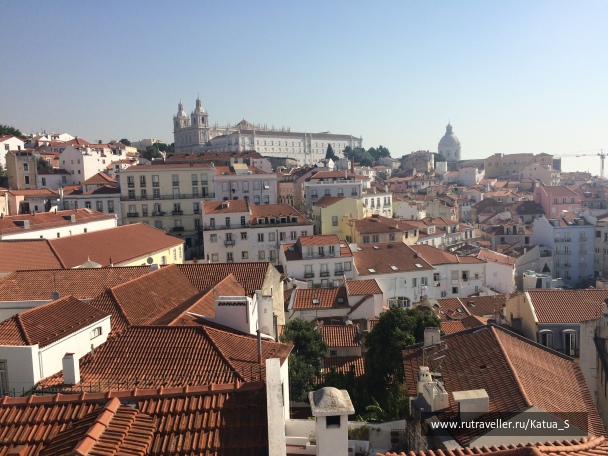 photo 1435281