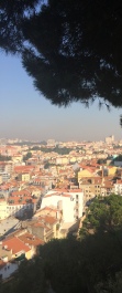 photo 1435295