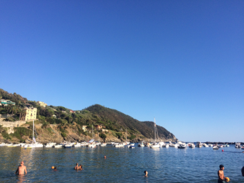 photo 1526090