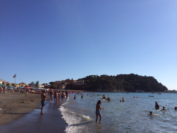 photo 1526091