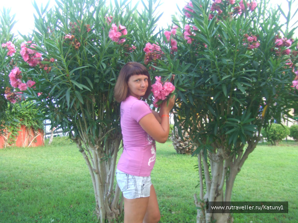 photo 452830