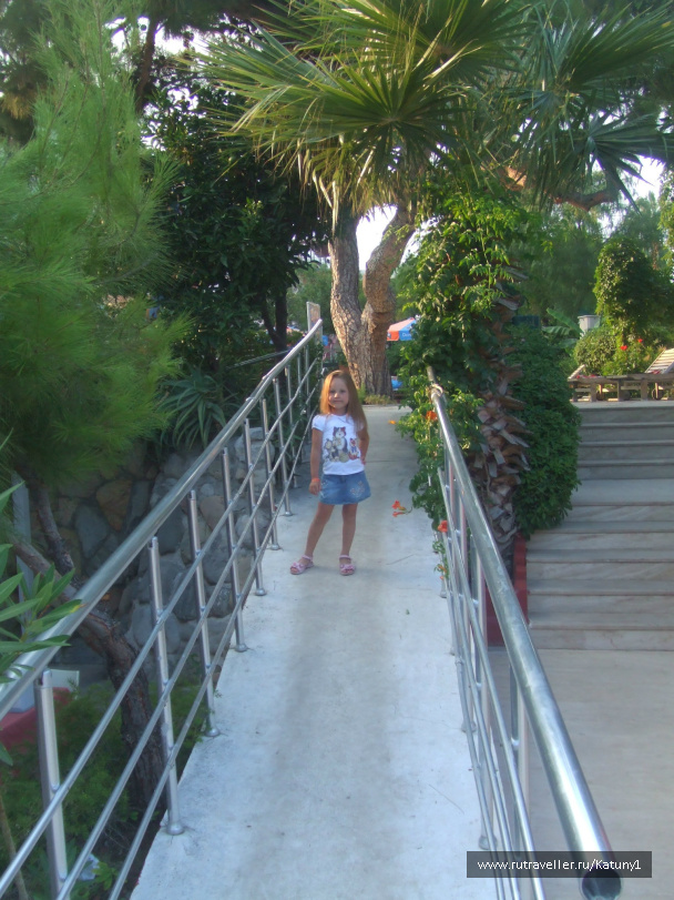 photo 452832