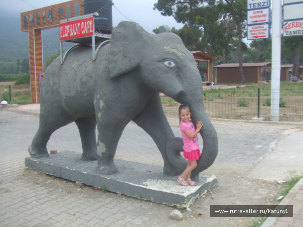 photo 452845