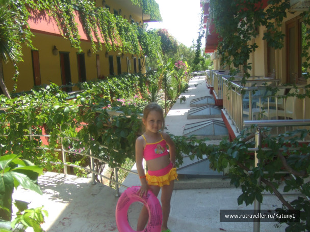 photo 452867