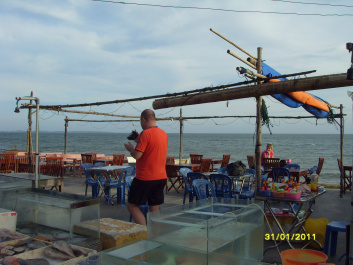 photo 454236