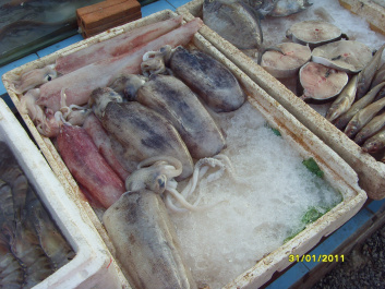 photo 454239