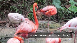 photo 453937