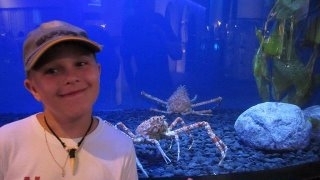 photo 453961