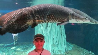 photo 453966
