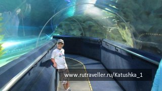 photo 453968
