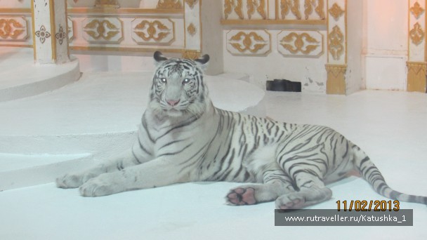 photo 454751