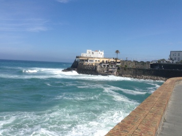 photo 1038456