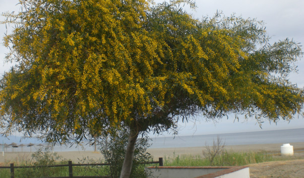 CIMG0038