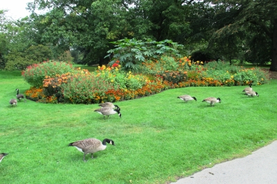 photo 923117