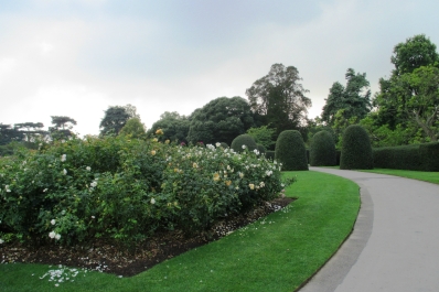 photo 928076