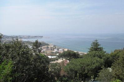 photo 1037571