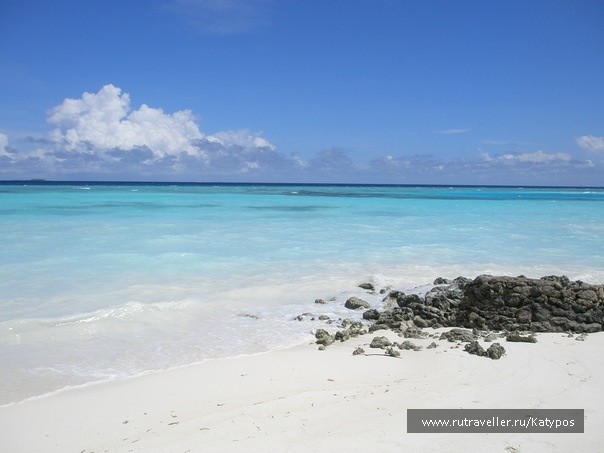 photo 458122