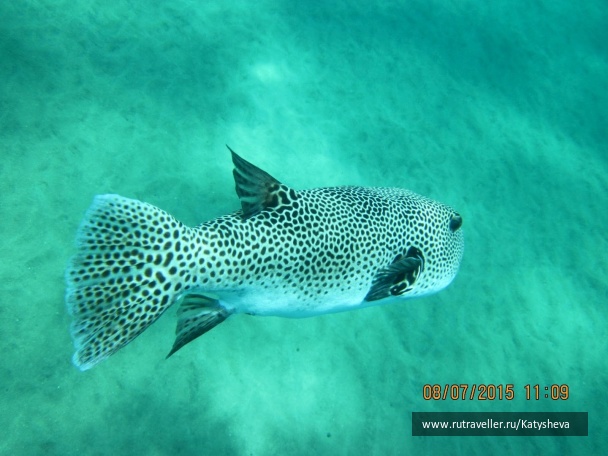 photo 1079451
