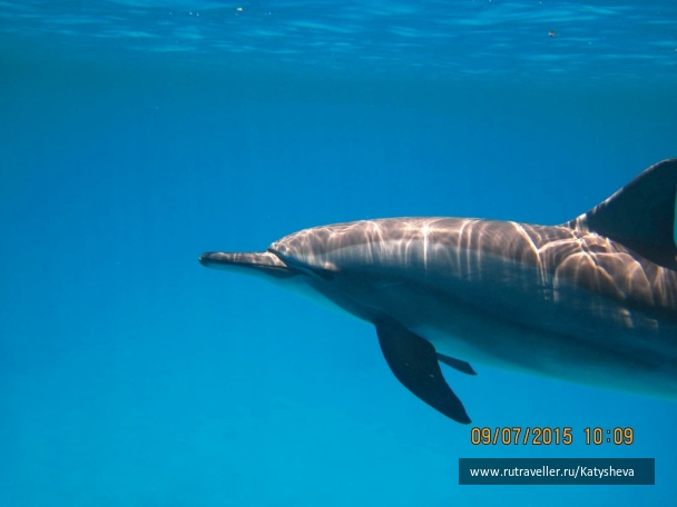 photo 1079453