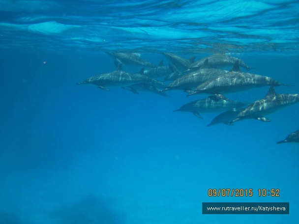 photo 1079454