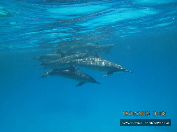 photo 1079455