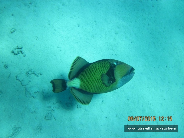 photo 1079457