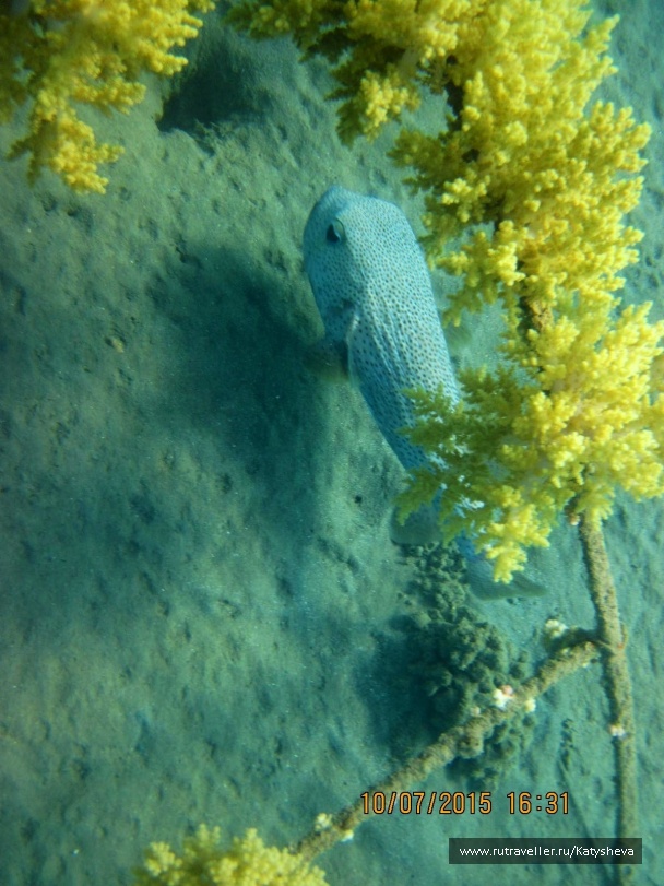 photo 1079463