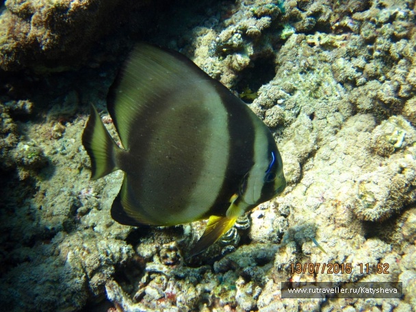photo 1079471
