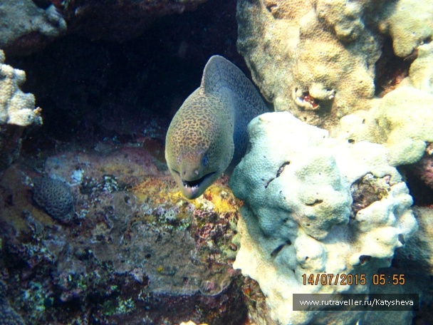 photo 1079474