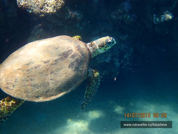 photo 1079477