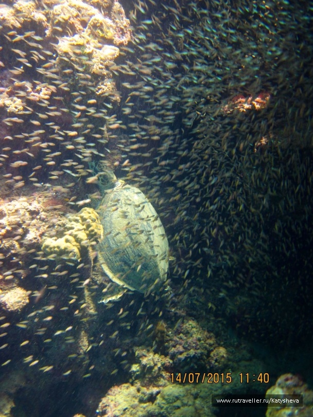 photo 1079479