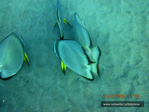 photo 1079484